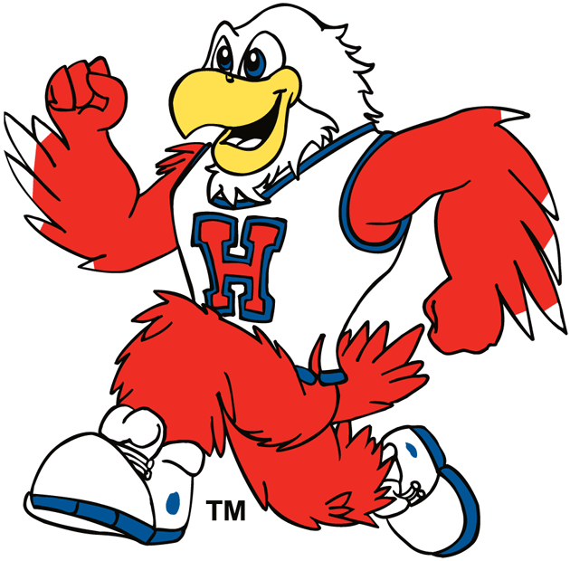 hartford hawks 1984-pres mascot logo iron on transfers for clothing fabric transfer